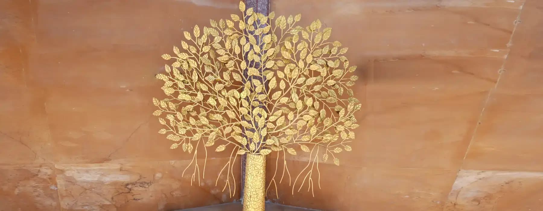 Photos of kadamba tree at chaar dham temple vrindavan